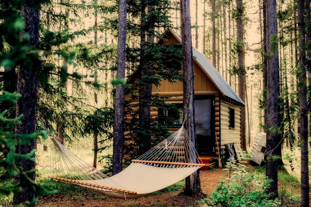 Hébergement atypique nature : une charmante cabane en rondins de bois nichée dans une forêt de pins, avec un hamac suspendu invitant à la détente.