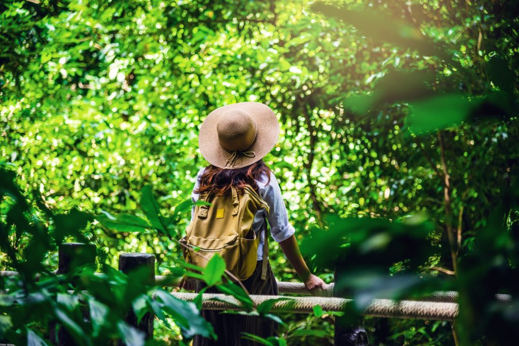 Une voyageuse au sac à dos et chapeau de paille admire une forêt luxuriante depuis une passerelle, illustrant l'immersion lors d'un séjour en hébergement atypique nature.