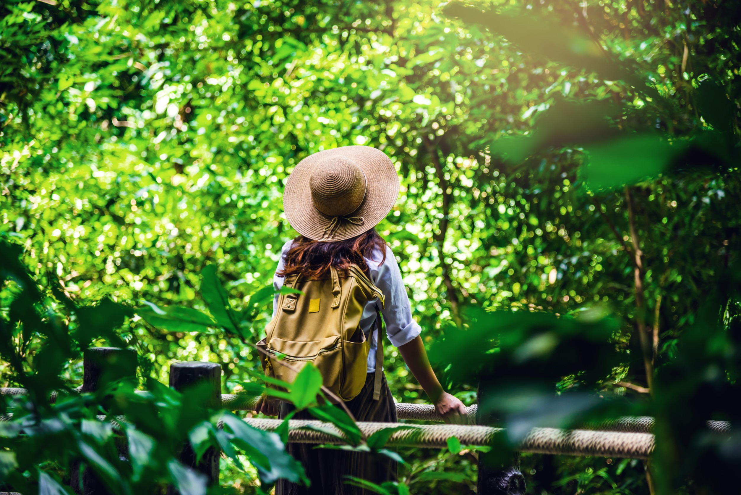 Une voyageuse au sac à dos et chapeau de paille admire une forêt luxuriante depuis une passerelle, illustrant l'immersion lors d'un séjour en hébergement atypique nature.